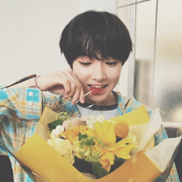 Sakuya gallery image