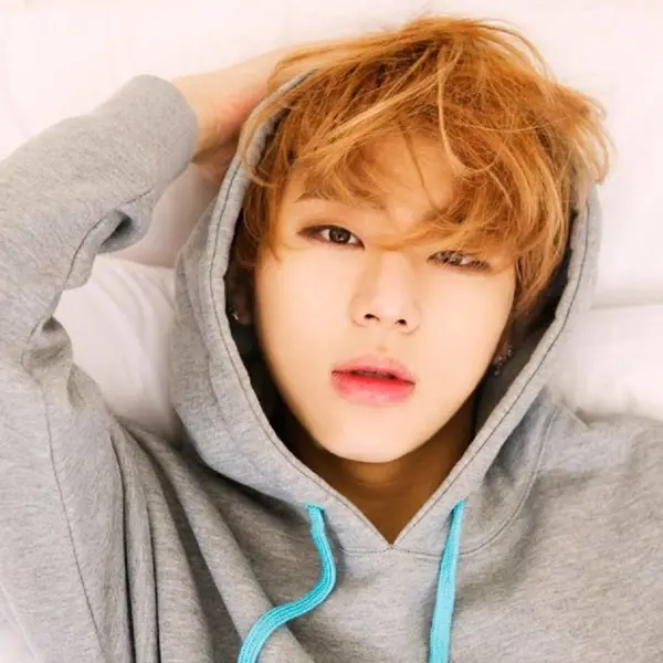 Zico gallery image
