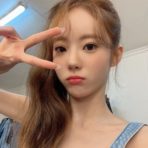 Luda的图库图片