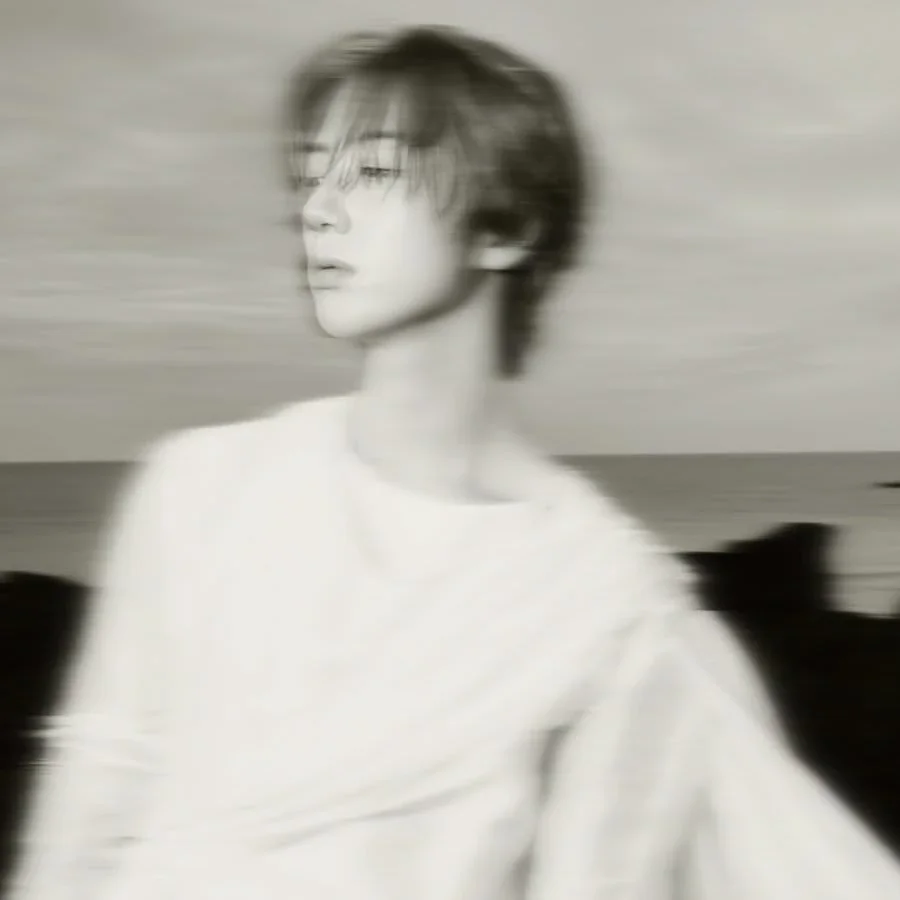 Imej galeri Wonjin