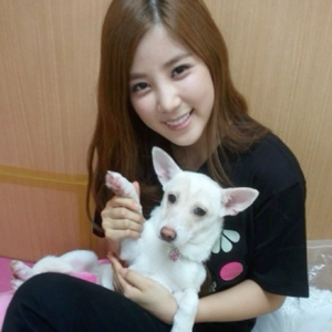 Chorong gallery image