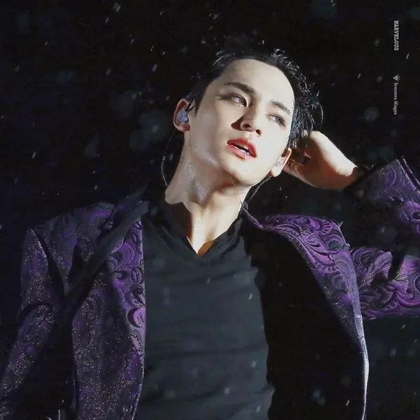 Mingyu gallery image