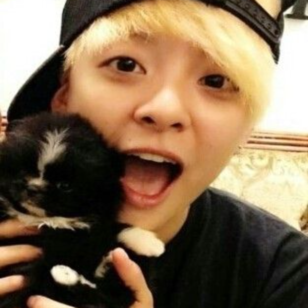 Gambar galeri Amber Liu