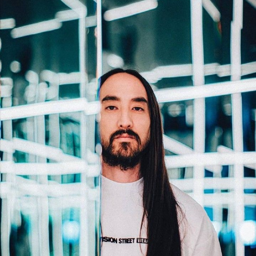 Steve Aoki gallery image