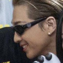 Taeyang gallery image