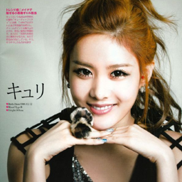 Qri gallery image