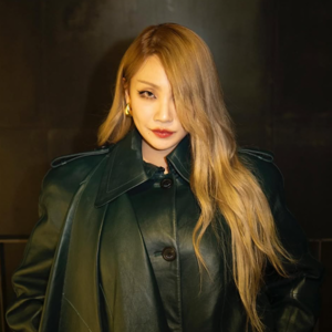 CL gallery image