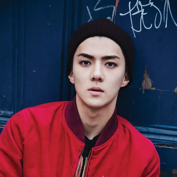 Sehun gallery image