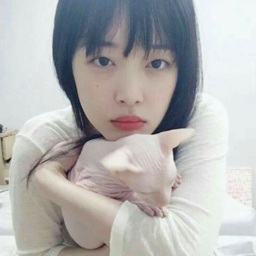 Sulli gallery image