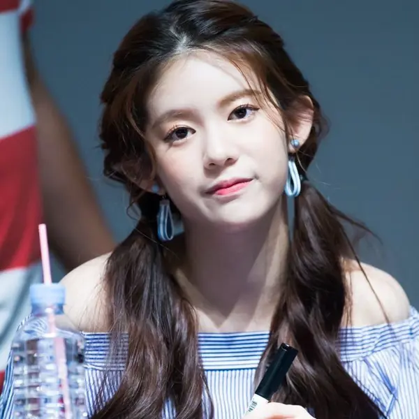 Daisy的图库图片