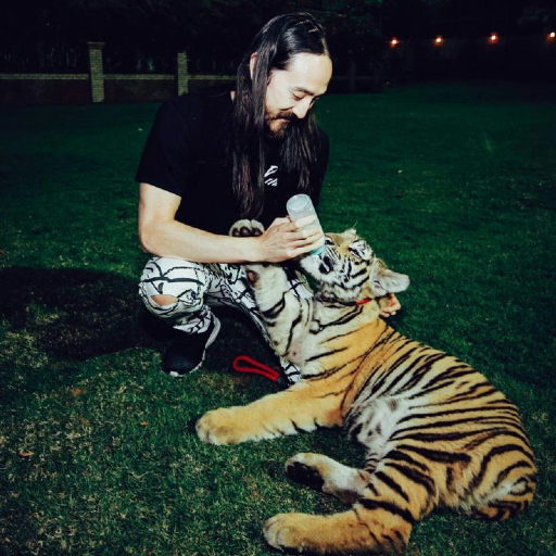 Imagen de la galería de Steve Aoki
