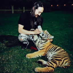 Steve Aoki gallery image