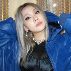 CL gallery image