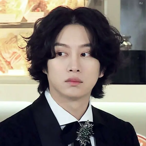 Heechul gallery image