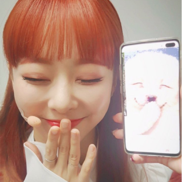 Gambar galeri Vivi