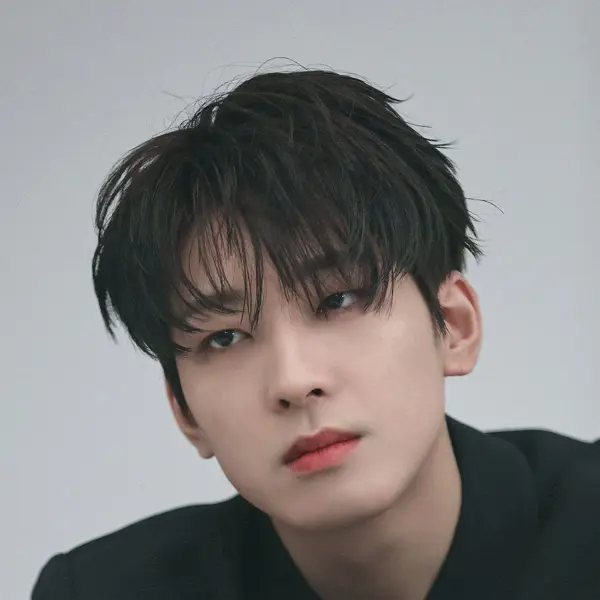 Wonwoo gallery image
