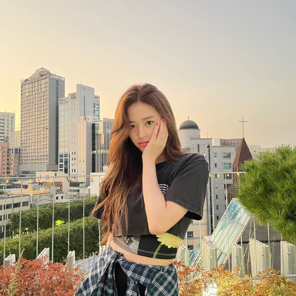 Imagen de la galería de Yujin