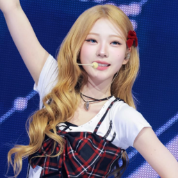 Stella gallery image