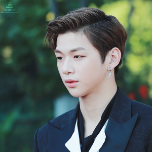 Daniel gallery image