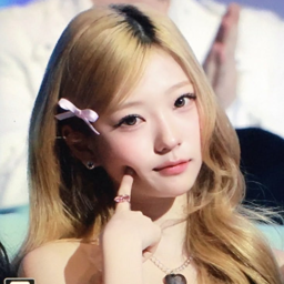 Stella gallery image