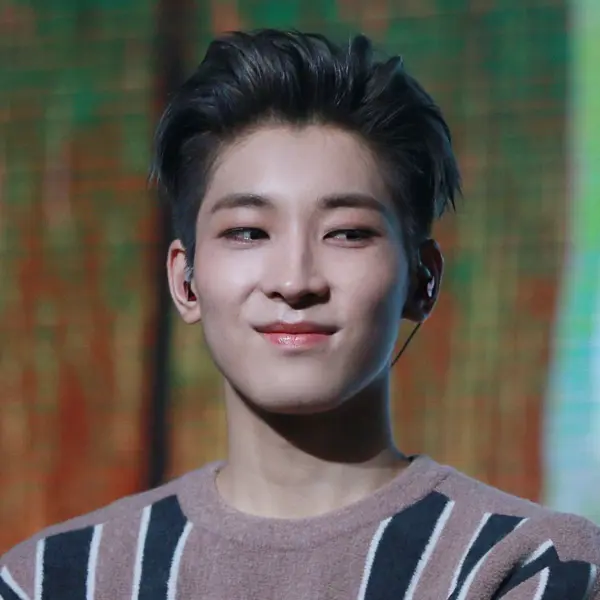 Wonwoo gallery image