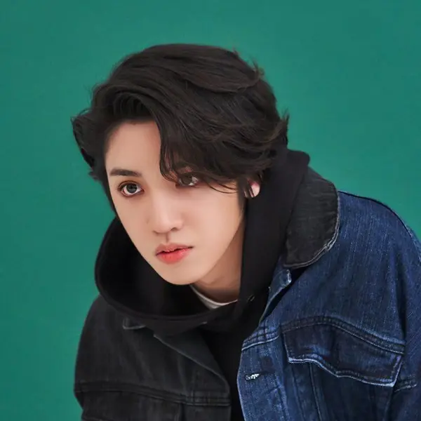 Wooseok galerijafbeelding