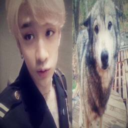 Bang Chan gallery image