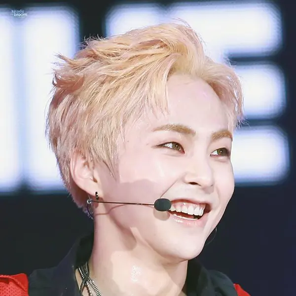 Xiumin gallery image