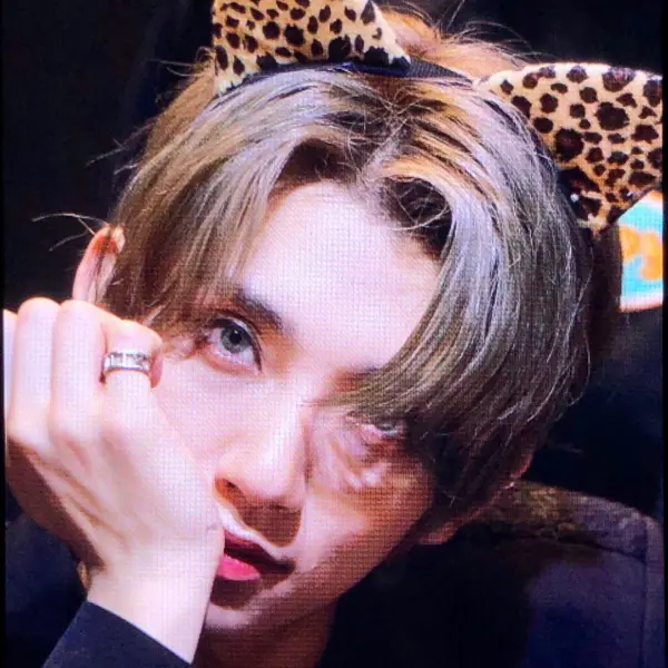 Joshua gallery image