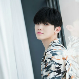 Woozi gallery image