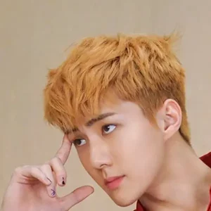 Sehun gallery image