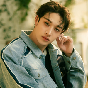 Bang Chan 3
