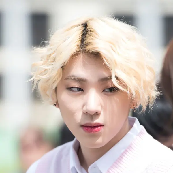 Zico gallery image