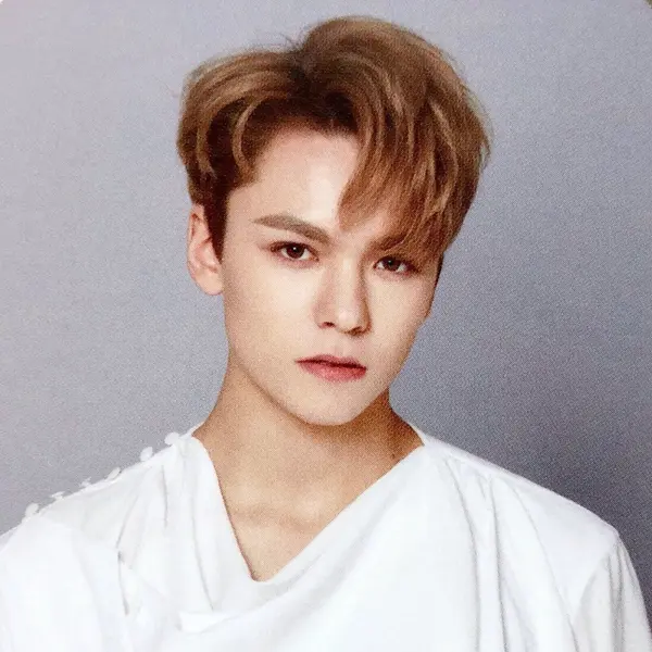 Vernon gallery image