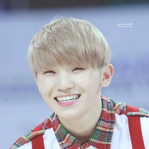 Woozi gallery image