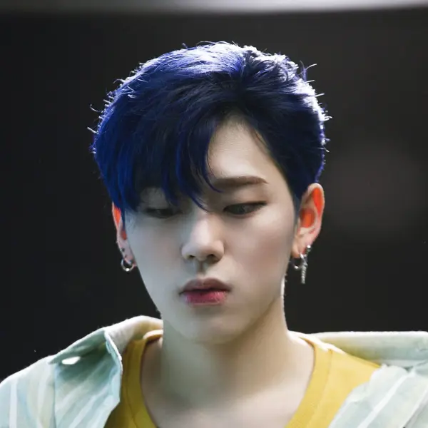 Zico gallery image