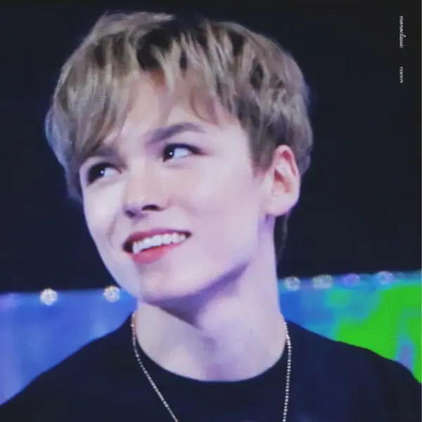 Vernon gallery image