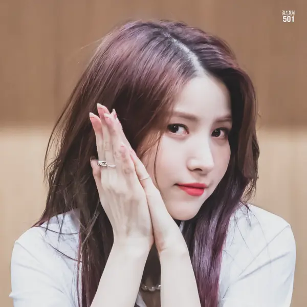 Sowon gallery image