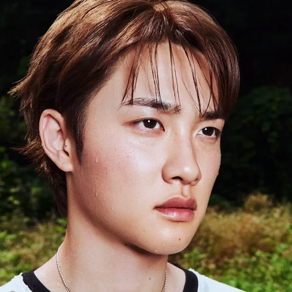 D.O. 3