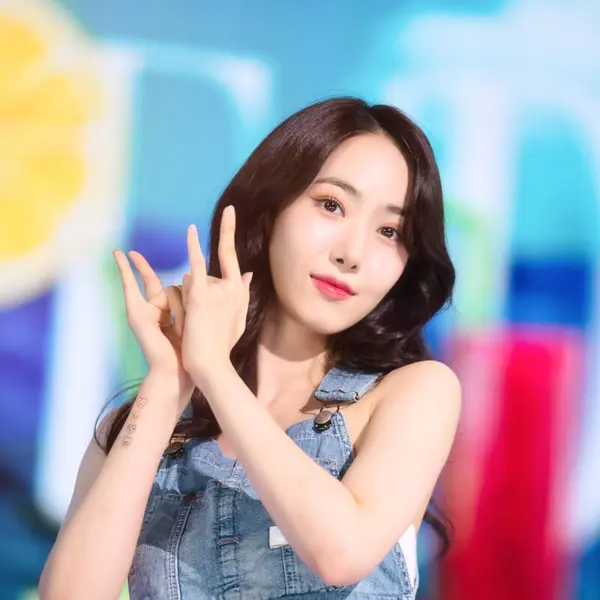 SinB gallery image