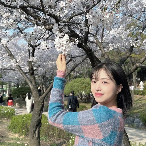 Chaewon gallery image
