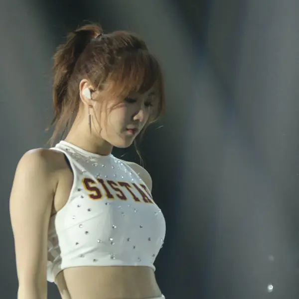 Soyou的图库图片