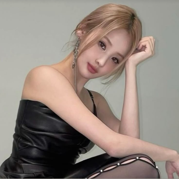 Belle的图库图片