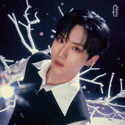 Yewang gallery image