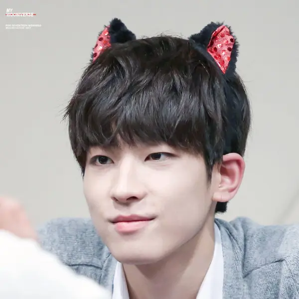 Wonwoo gallery image