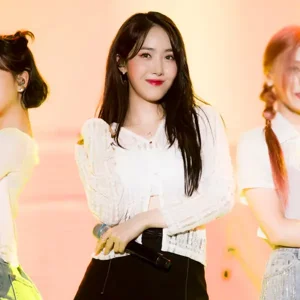 SinB gallery image