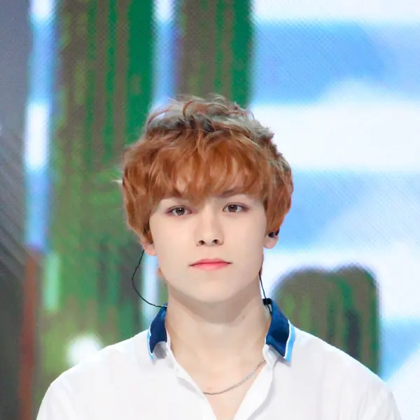 Vernon gallery image