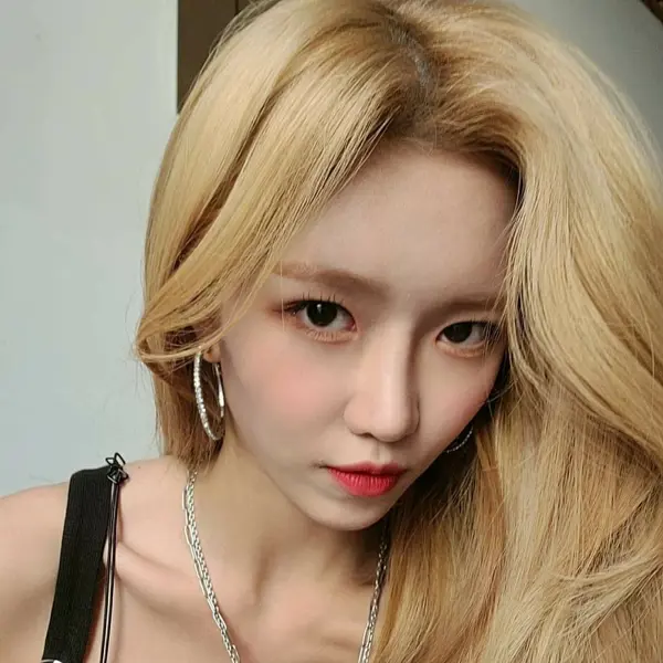 Da Won gallery image