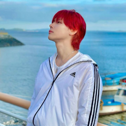 Nicholas gallery image