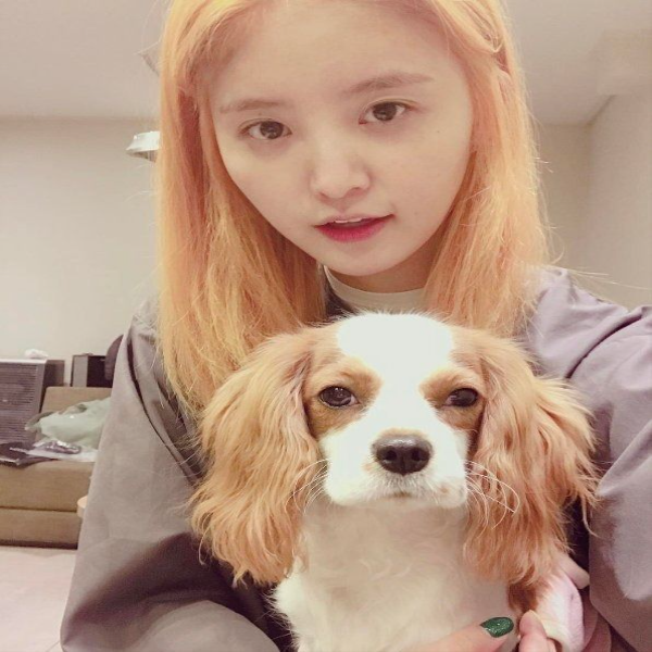 Jeonghwa 갤러리 이미지